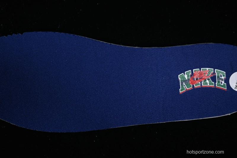 Nike SB Dunk Low SB Skateboarding Shoes - FQ6849-141