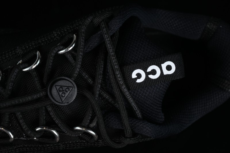 Nike ACG Mountain Fly 2 Low SP Outdoor Hiking Shoes with GORE-TEX and React Foam - FZ3311-001